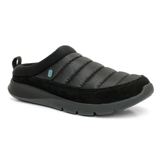 Teton Black banner